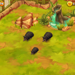 Long-Eared Hedgehog Black