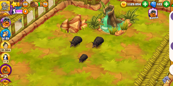 Long-Eared Hedgehog Black