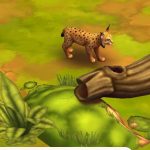 Iberian Lynx