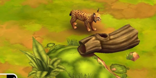 Iberian Lynx