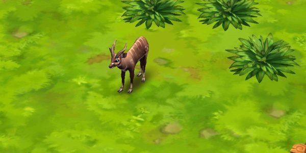 Sitatunga