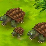 Alligator Snapping Turtle