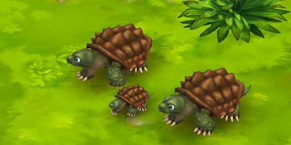 Alligator Snapping Turtle