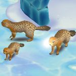 Arctic Ground Squirrel