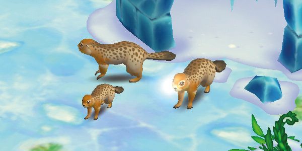 Arctic Ground Squirrel