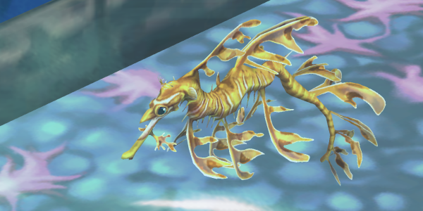Leafy Seadragon