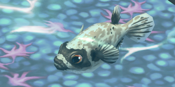 Masked Puffer