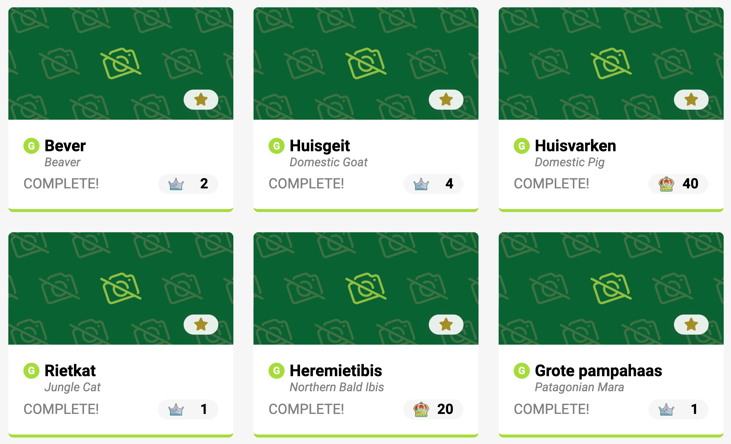 Multilingual (Dutch)