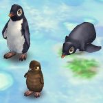 Adélie Penguin