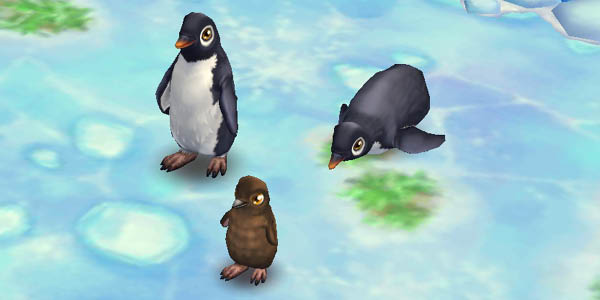 Adélie Penguin
