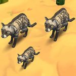 African Civet