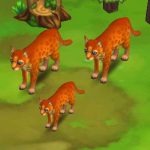 African Golden Cat