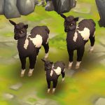 Alpaca Black