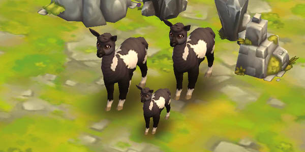Alpaca Black