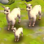 Alpaca White