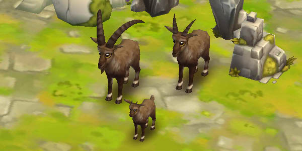 Alpine Ibex