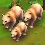 American Black Bear (blonde)