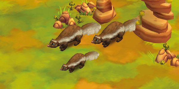 American Hog-Nosed Skunk Humboldt’s