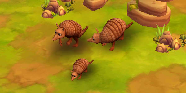 Armadillo