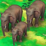 Asian Elephant
