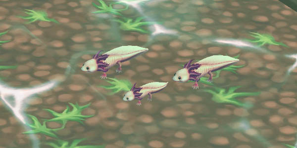 Axolotl White