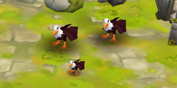 Bald Eagle