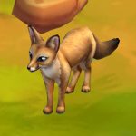 Bengal Fox