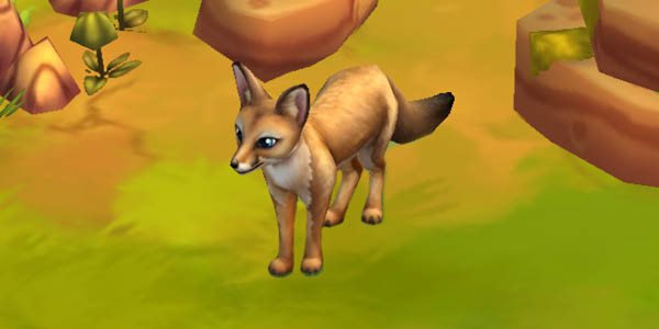 Bengal Fox