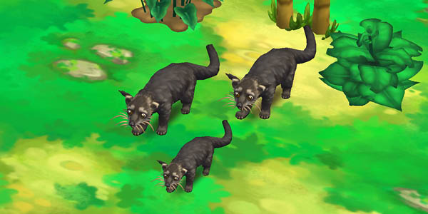 Binturong