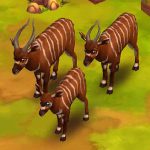 Bongo Antelope