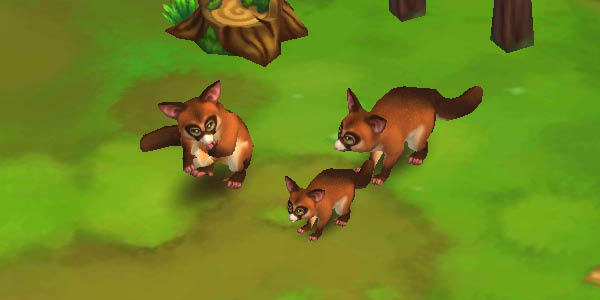 Brushtail Possum Brown