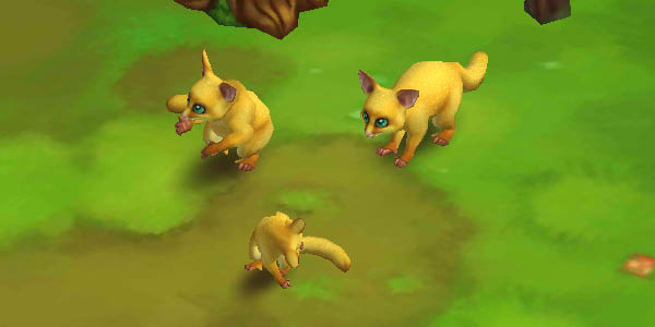 Brushtail Possum Yellow