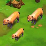 Bush Dog