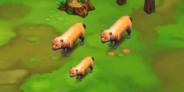 Bush Dog