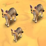 Cape Fox