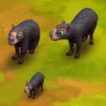 Capybara Black