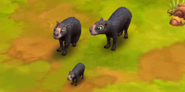 Capybara Black