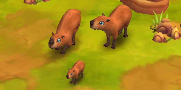 Capybara