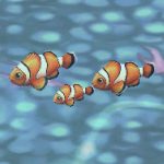 Clownfish