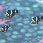 Clownfish Black
