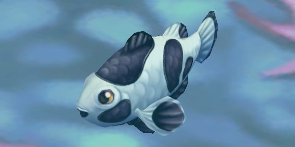 Clownfish Black Storm