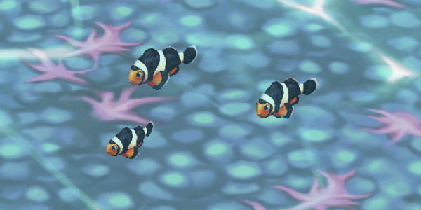Clownfish Black