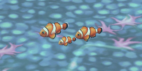 Clownfish
