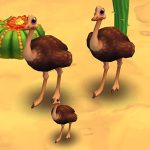 Common Ostrich Brown