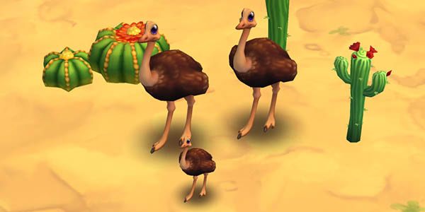 Common Ostrich Brown