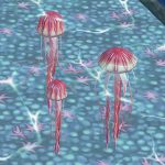 Compass Jellyfish