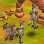Eastern Grey Kangaroo