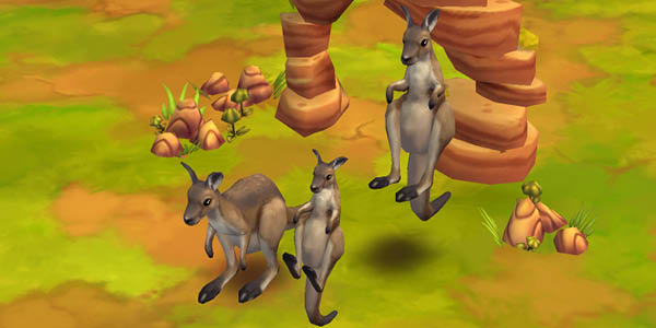 Eastern Grey Kangaroo