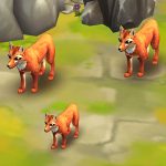 Ethiopian Wolf