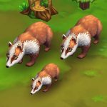 European Badger Red